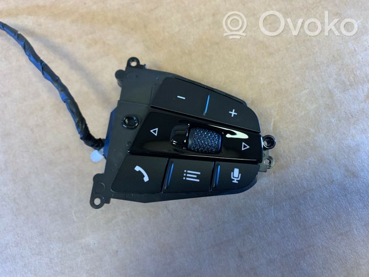 BMW 6 G32 Gran Turismo Pulsanti/interruttori sul volante 61318053148