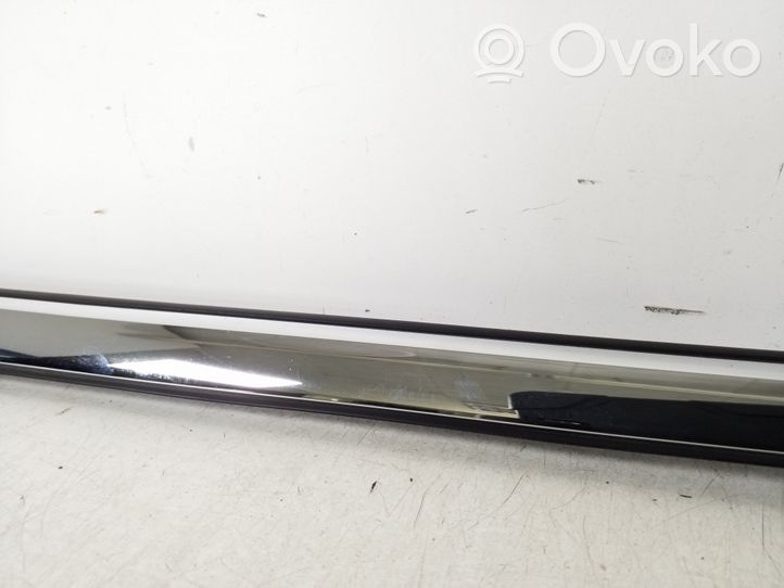 Ford Fiesta Front door glass trim molding 