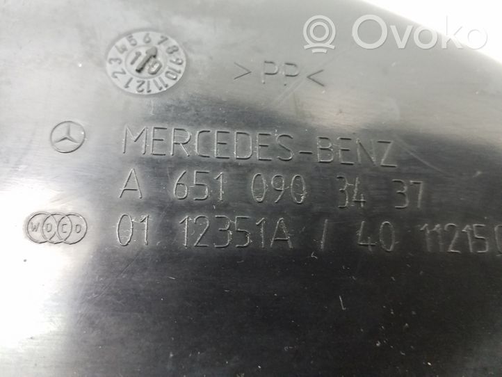 Mercedes-Benz E C207 W207 Oro paėmimo kanalo detalė (-ės) A6510903437