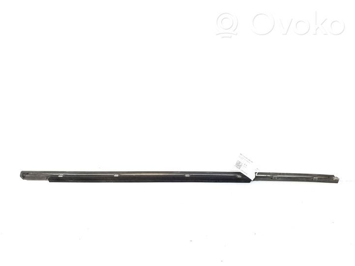 Mercedes-Benz S W220 Rear door trim (molding) 