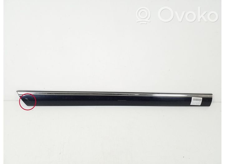 Mercedes-Benz S W220 Rear door trim (molding) A2206901462