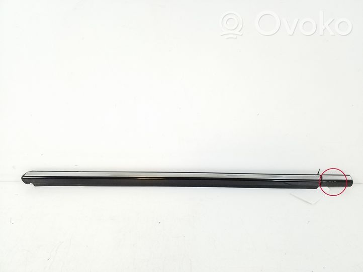 Mercedes-Benz S W220 Rivestimento modanatura del vetro della portiera anteriore A2206900280