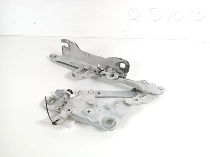 BMW 3 F30 F35 F31 Cerniere del vano motore/cofano 7239416