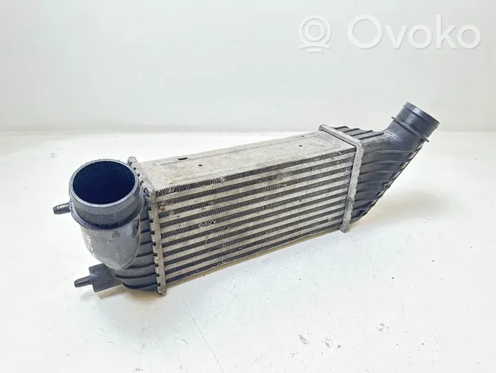 Peugeot Expert Radiatore intercooler 