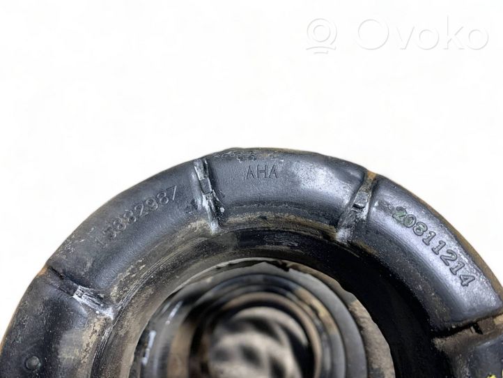 Opel Antara Rear coil spring 13032387