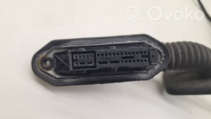 BMW 3 E46 Cableado de puerta trasera 6913083