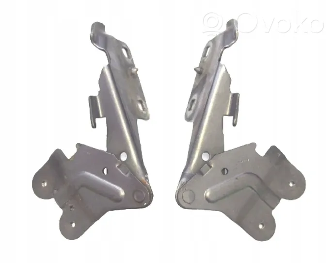 Renault Vel Satis Engine bonnet/hood hinges 