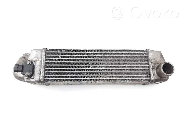 Tata Indica Vista I Radiatore intercooler 279714600102