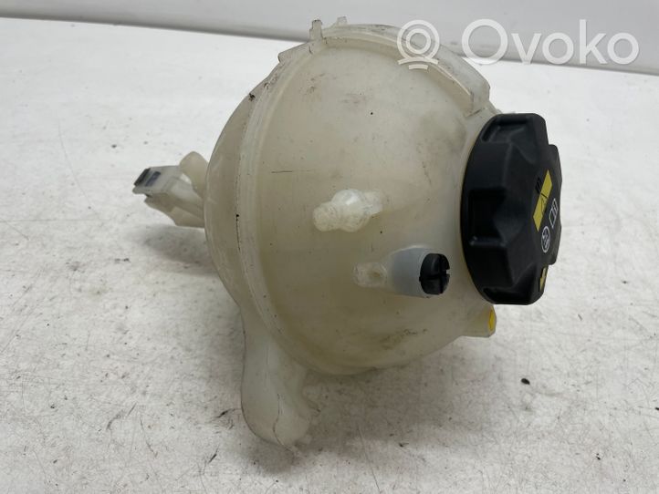 BMW 5 G30 G31 Serbatoio di compensazione del liquido refrigerante/vaschetta 8610654