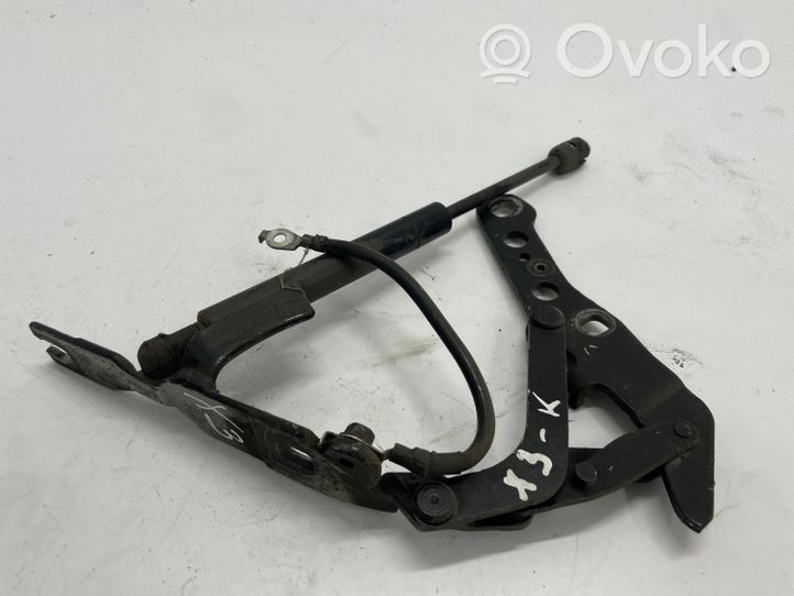 BMW X3 E83 Cerniere del vano motore/cofano 3411447