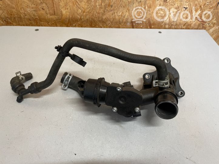 Nissan Qashqai Thermostat 110600686R