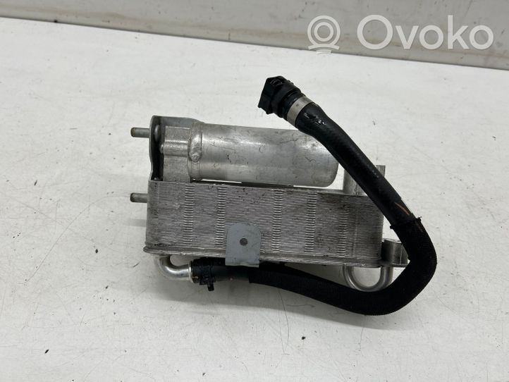 BMW iX3 G08 Filtro essiccatore aria condizionata (A/C) 7950339