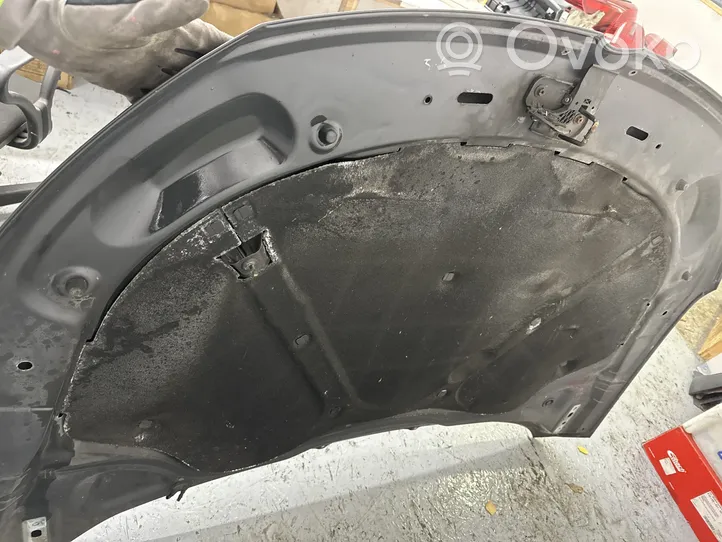 Volkswagen PASSAT CC Engine bonnet/hood 