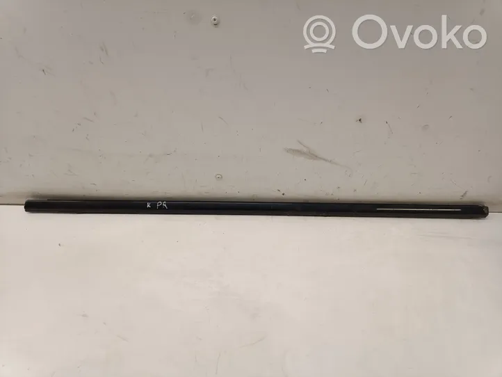 Opel Insignia B Rivestimento modanatura del vetro della portiera anteriore 