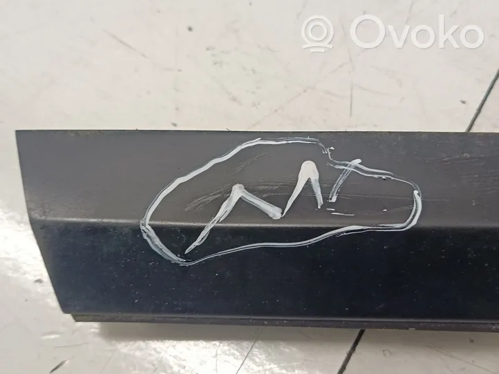 Tesla Model 3 Listwa / Uszczelka szyby drzwi przednich 108068401I