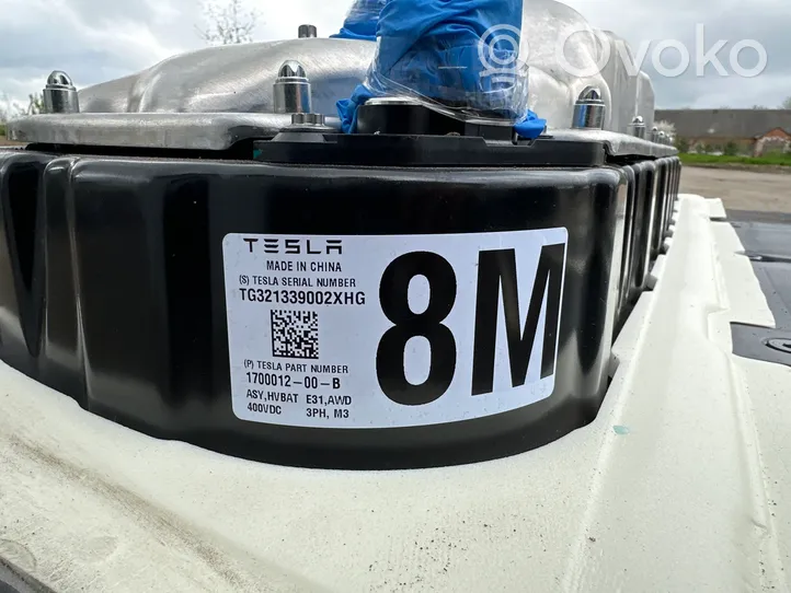 Tesla Model 3 Batteria TG321339002XHG