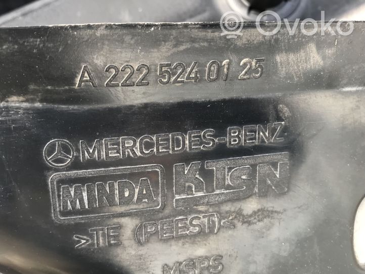 Mercedes-Benz S W222 Altra parte della carrozzeria A2225240125