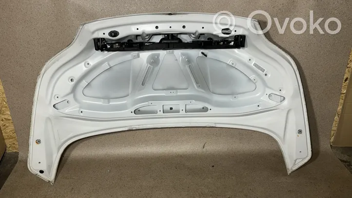 BMW Z4 E89 Tailgate/trunk/boot lid 