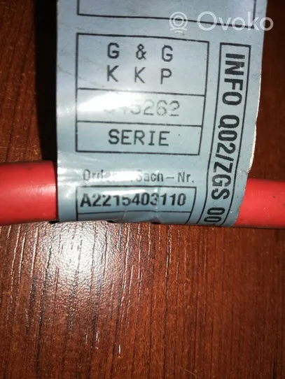 Mercedes-Benz S W221 Cable positivo (batería) A2215403110