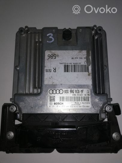 Audi A6 S6 C6 4F Calculateur moteur ECU 03G906016MF