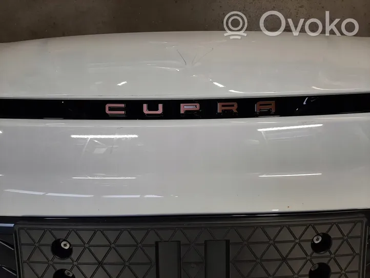 Cupra Born Etupuskuri 10E807221D