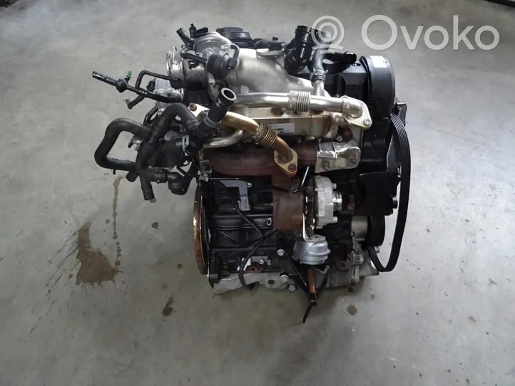 Volkswagen Sharan Moottori 6NW009550