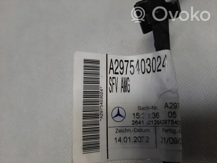 Mercedes-Benz E AMG W210 Inna wiązka przewodów / kabli A2975403024