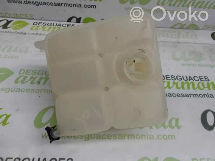 Chevrolet Aveo Vaso di espansione carburante 