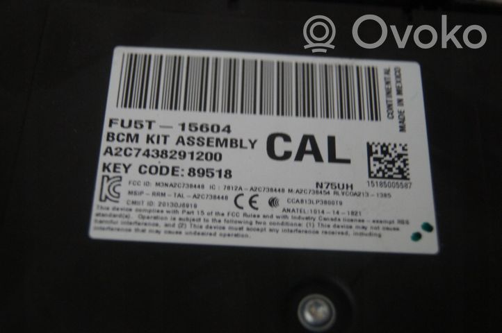 Ford Edge II BSM Control unit FU5T15604CAL