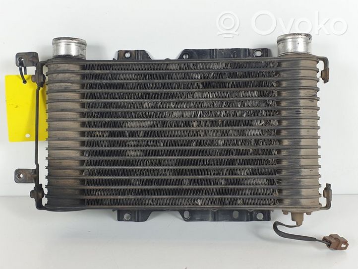 Mitsubishi Montero Chłodnica powietrza doładowującego / Intercooler 1271000420