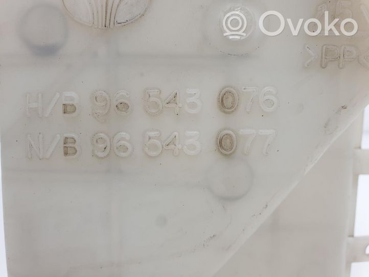 Daewoo Kalos Serbatoio/vaschetta liquido lavavetri parabrezza 96543076