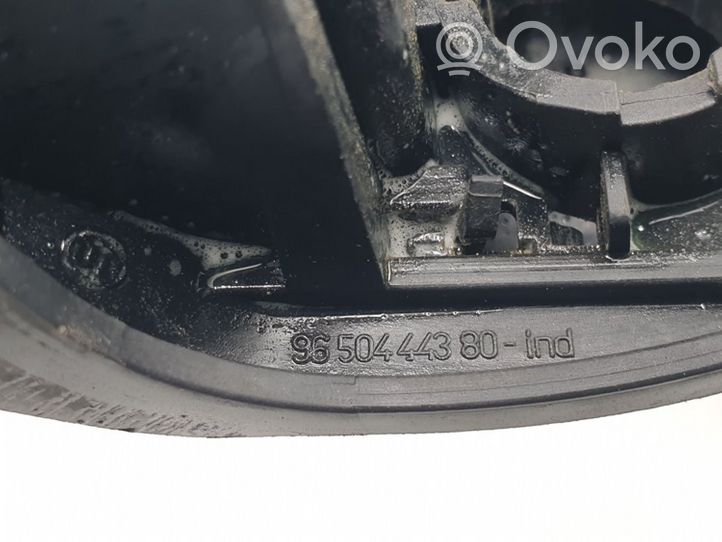 Citroen C3 Klamka zewnętrzna drzwi przednich 9650444380