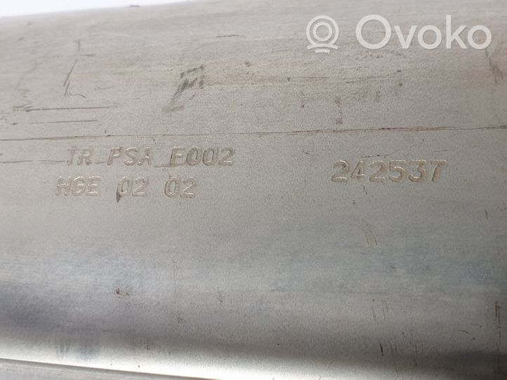 Citroen C5 Filtr cząstek stałych Katalizator / FAP / DPF TRPSAF002