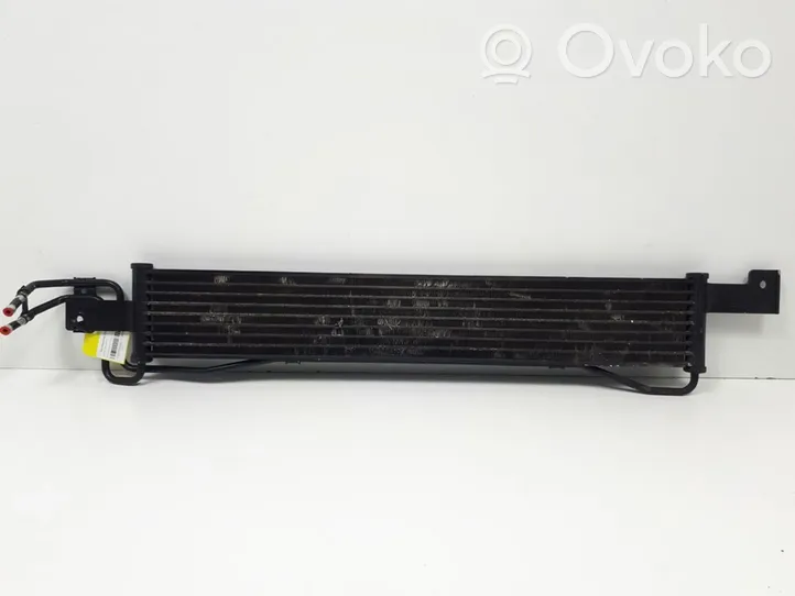 Hyundai Santa Fe Engine oil radiator 254602B100