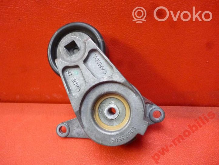 Hyundai Elantra Napinacz paska alternatora 12575509