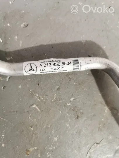 Mercedes-Benz GLC X253 C253 Трубка (трубки)/ шланг (шланги) кондиционера воздуха A2138308504