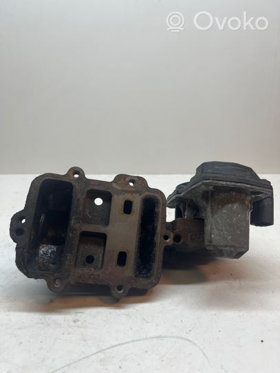 Volkswagen Transporter - Caravelle T5 EGR valve 52390100