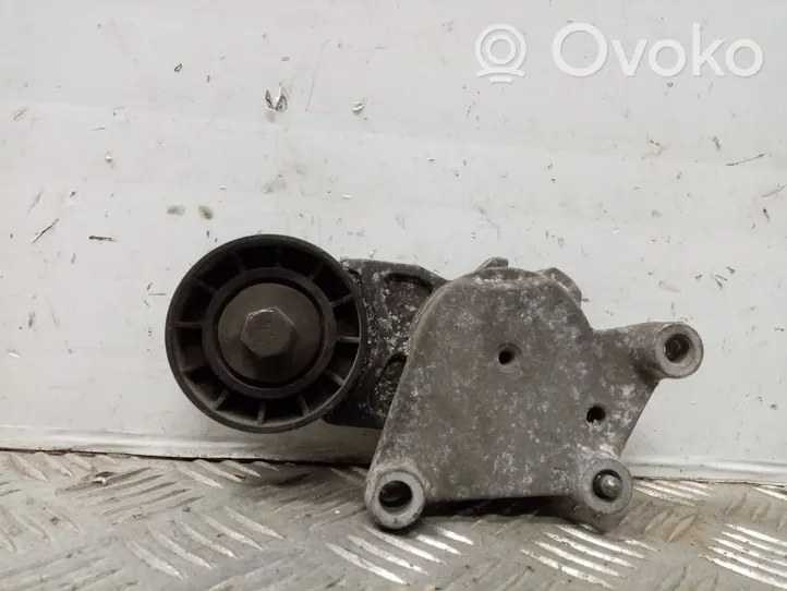 Citroen C3 Pluriel Tendicinghia generatore/alternatore 