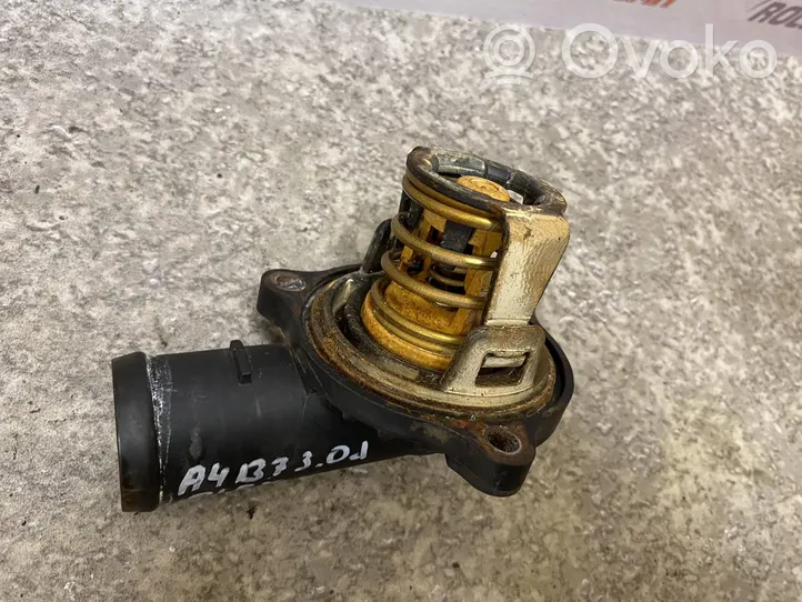 Audi A4 S4 B7 8E 8H Termostatas/ termostato korpusas 059121111H