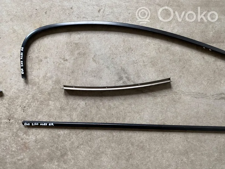 BMW 5 E60 E61 Altro elemento di rivestimento della portiera anteriore 