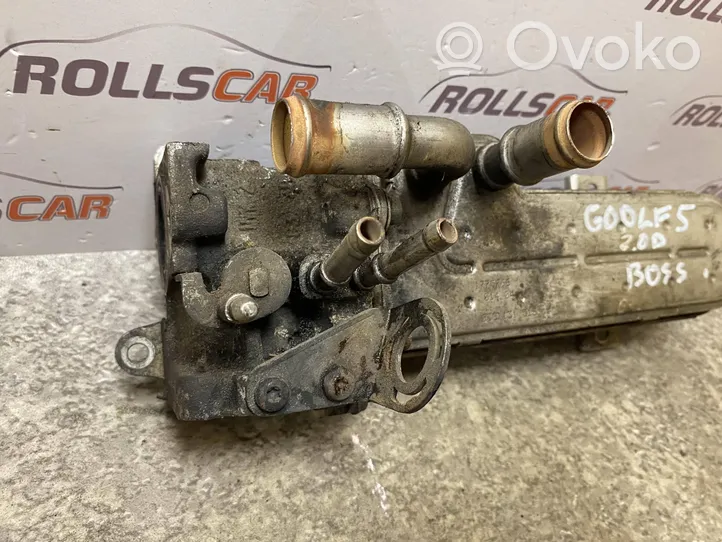 Volkswagen Golf V Valvola di raffreddamento EGR 03G131513