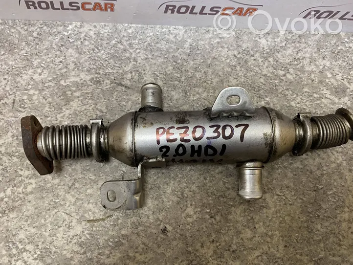 Peugeot 307 Valvola di raffreddamento EGR 869922R