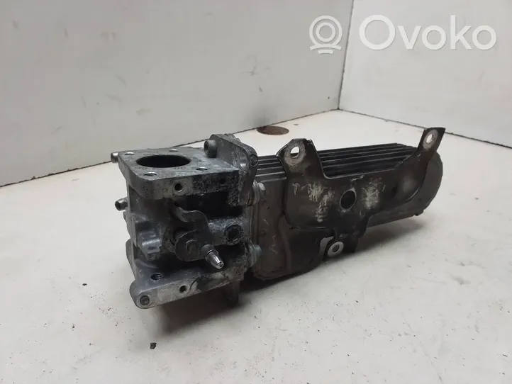 Volkswagen Touran I EGR-venttiili/lauhdutin 038131513D