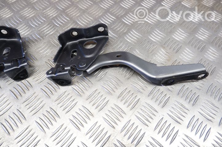 Toyota Highlander XU70 Cerniere del vano motore/cofano 534200E190