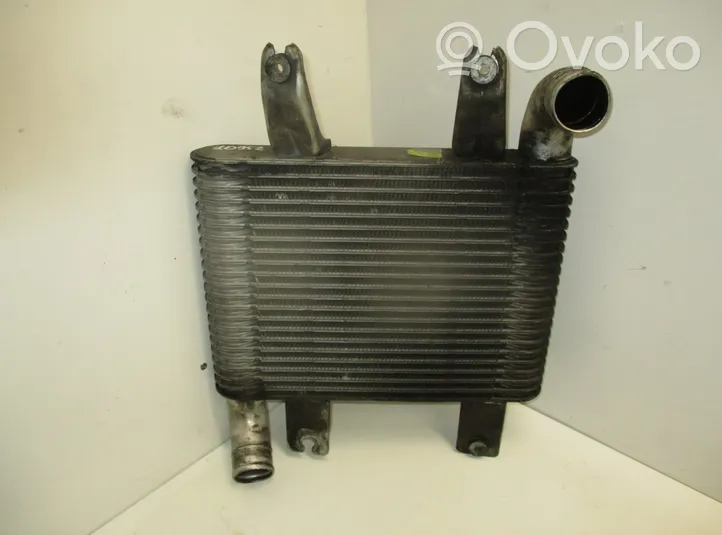 Hyundai Terracan Radiatore intercooler 281904X40X