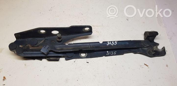 Volvo S80 Engine bonnet/hood hinges 