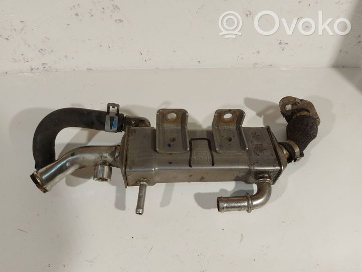 Chrysler Pacifica EGR-venttiili/lauhdutin 05281255AK