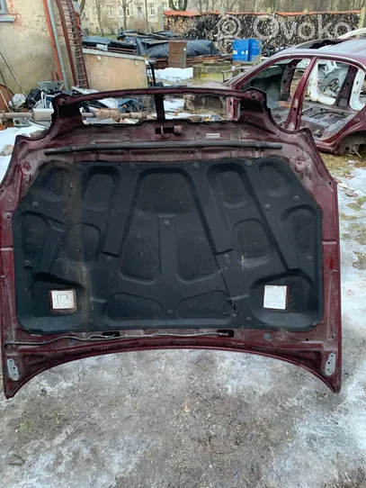 Hyundai Sonata Engine bonnet/hood 