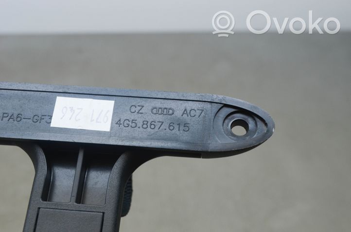 Audi A6 C7 Kita salono detalė 4G5867615