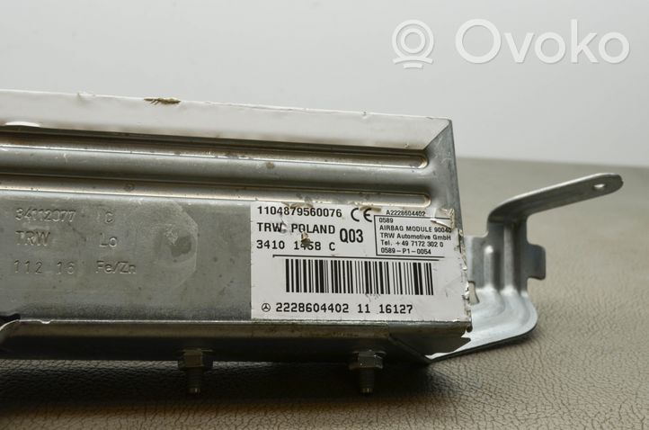 Mercedes-Benz S W222 Poduszka powietrzna Airbag drzwi tylnych A2228604402